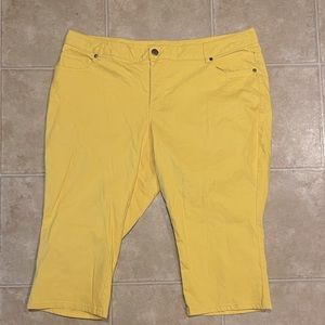 Women’s Plus Size Avenue Denim Capri Pants Sz 24